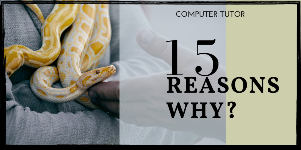 Why learn python?